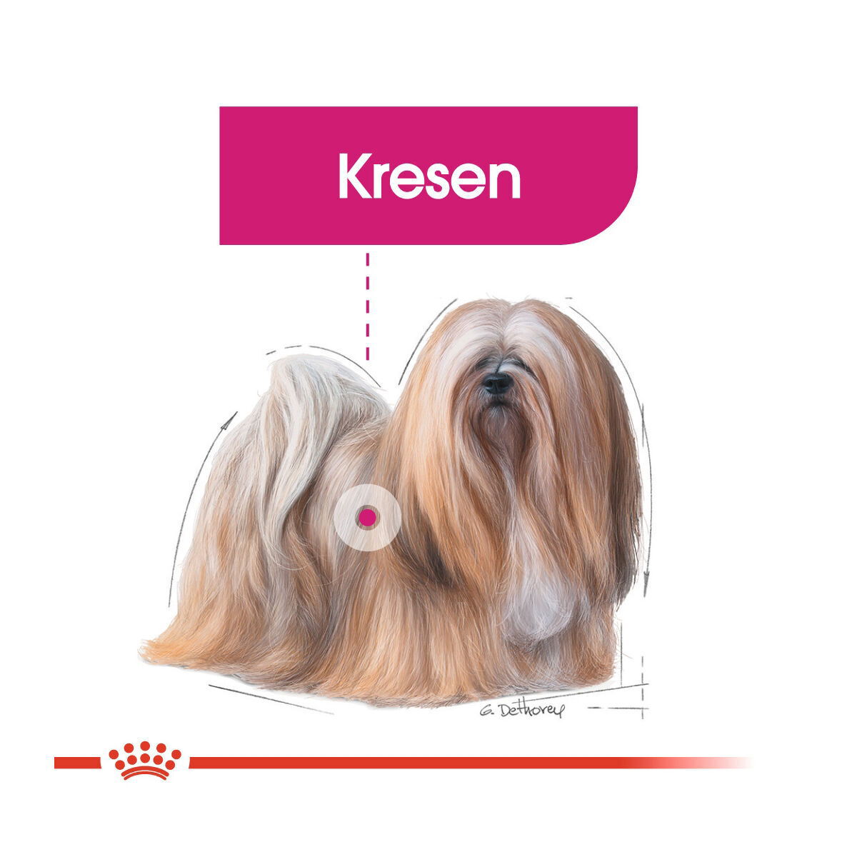 Royal Canin Mini Exigent