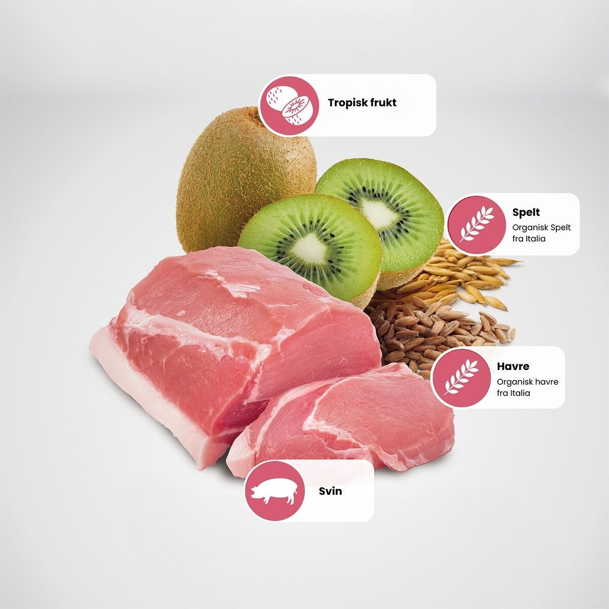 N&D Dog Tropical Pork M/L 10kg