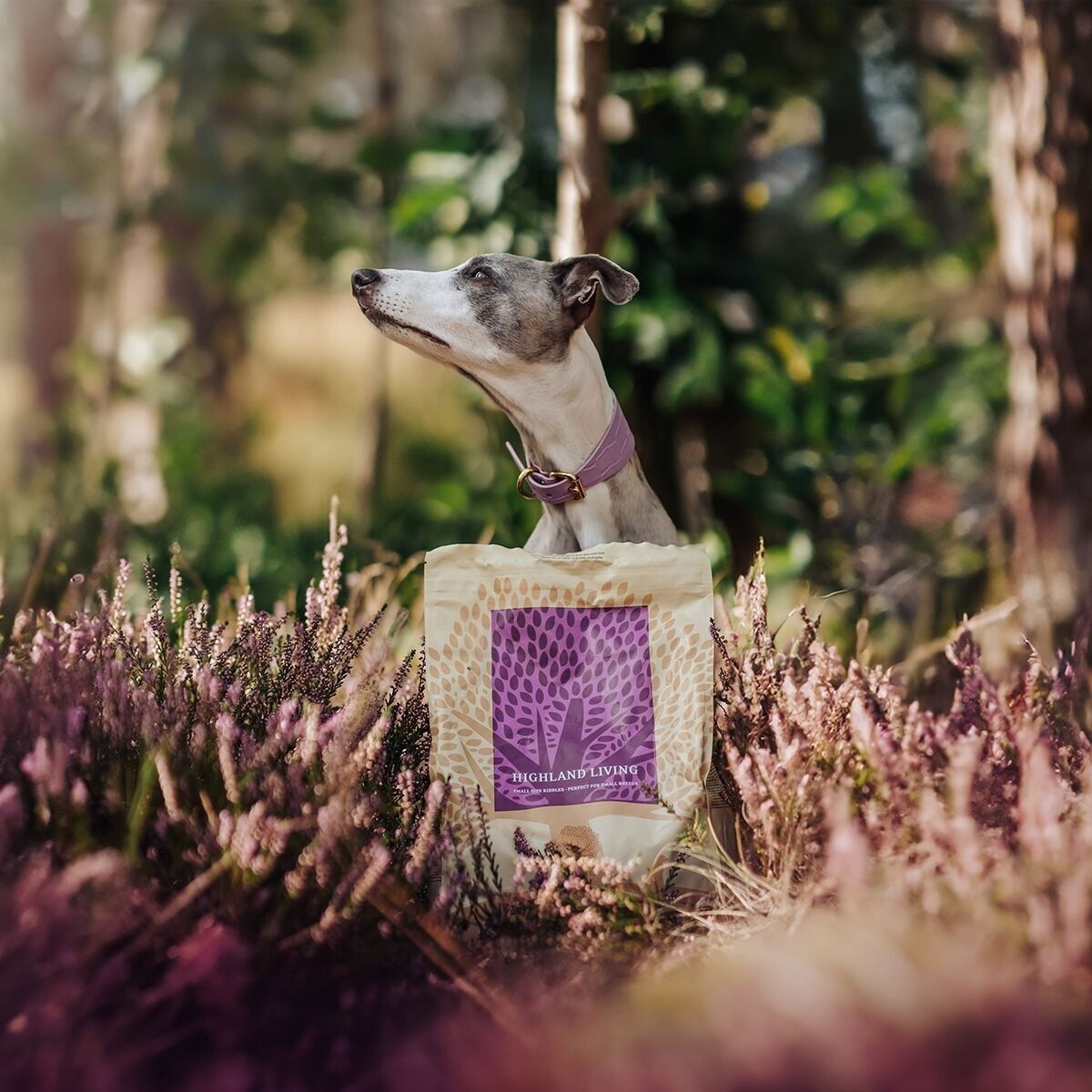 ESSENTIAL HIGHLAND LIVING SMALL BREED 2,5kg