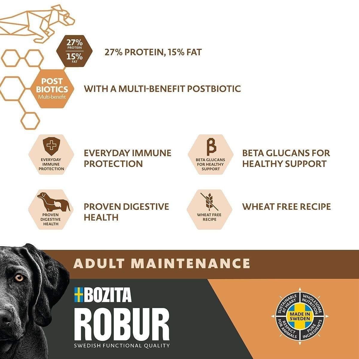 Robur Adult Maintenance