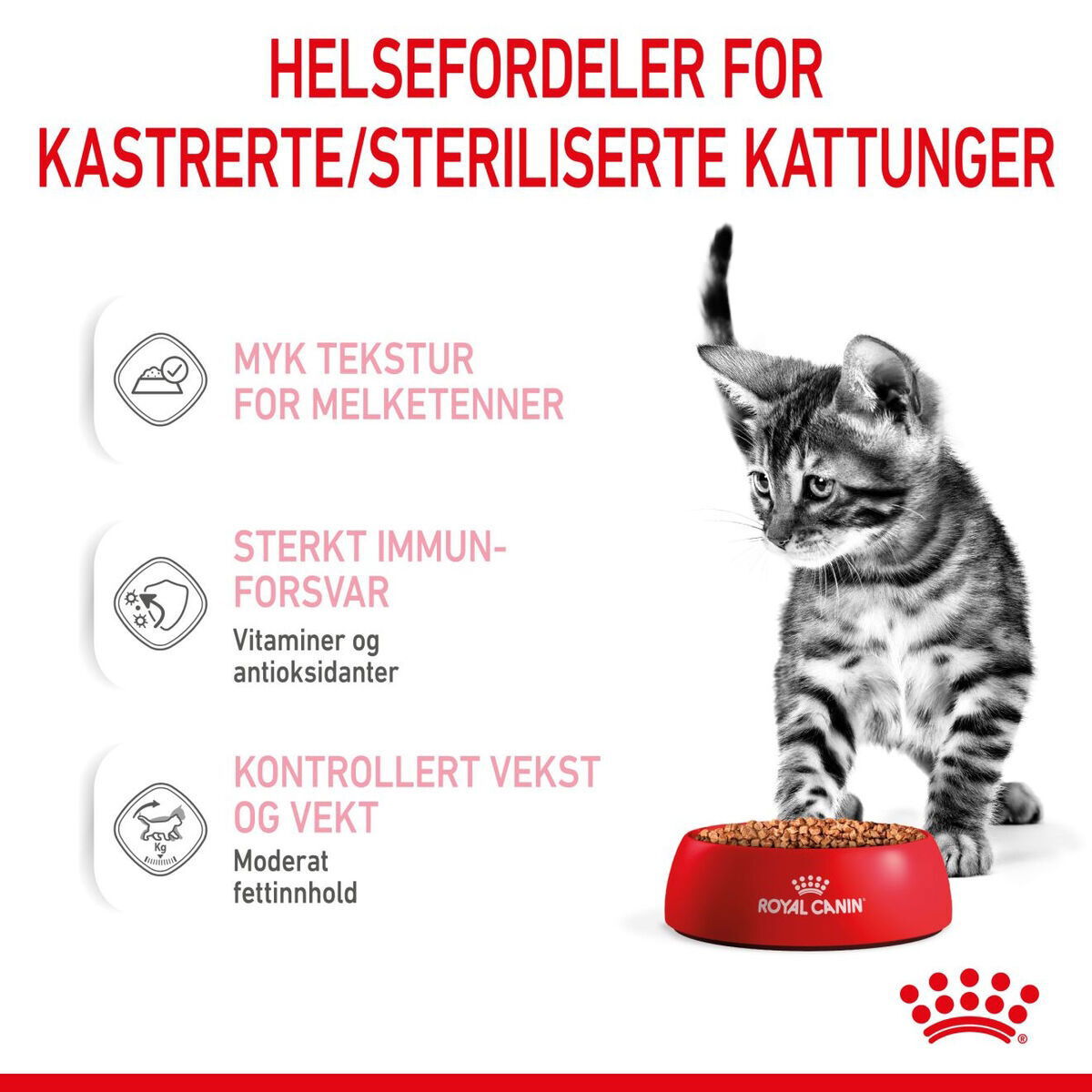 RC FHN Kitten Sterilised Gravy 12x85g 