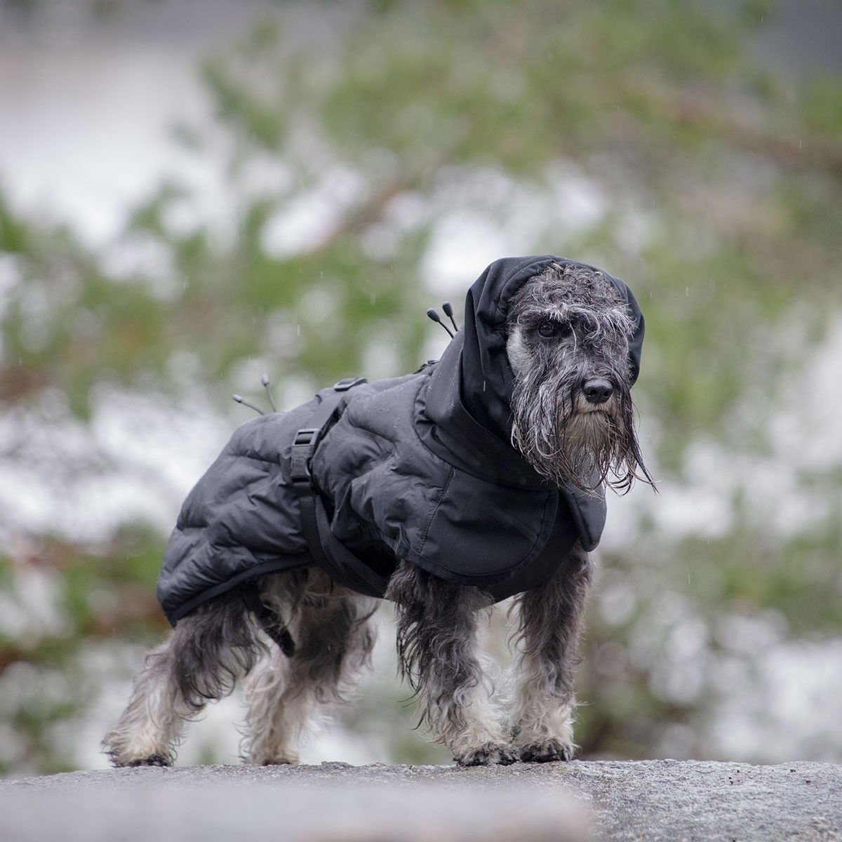 Feel Active Haga parka black