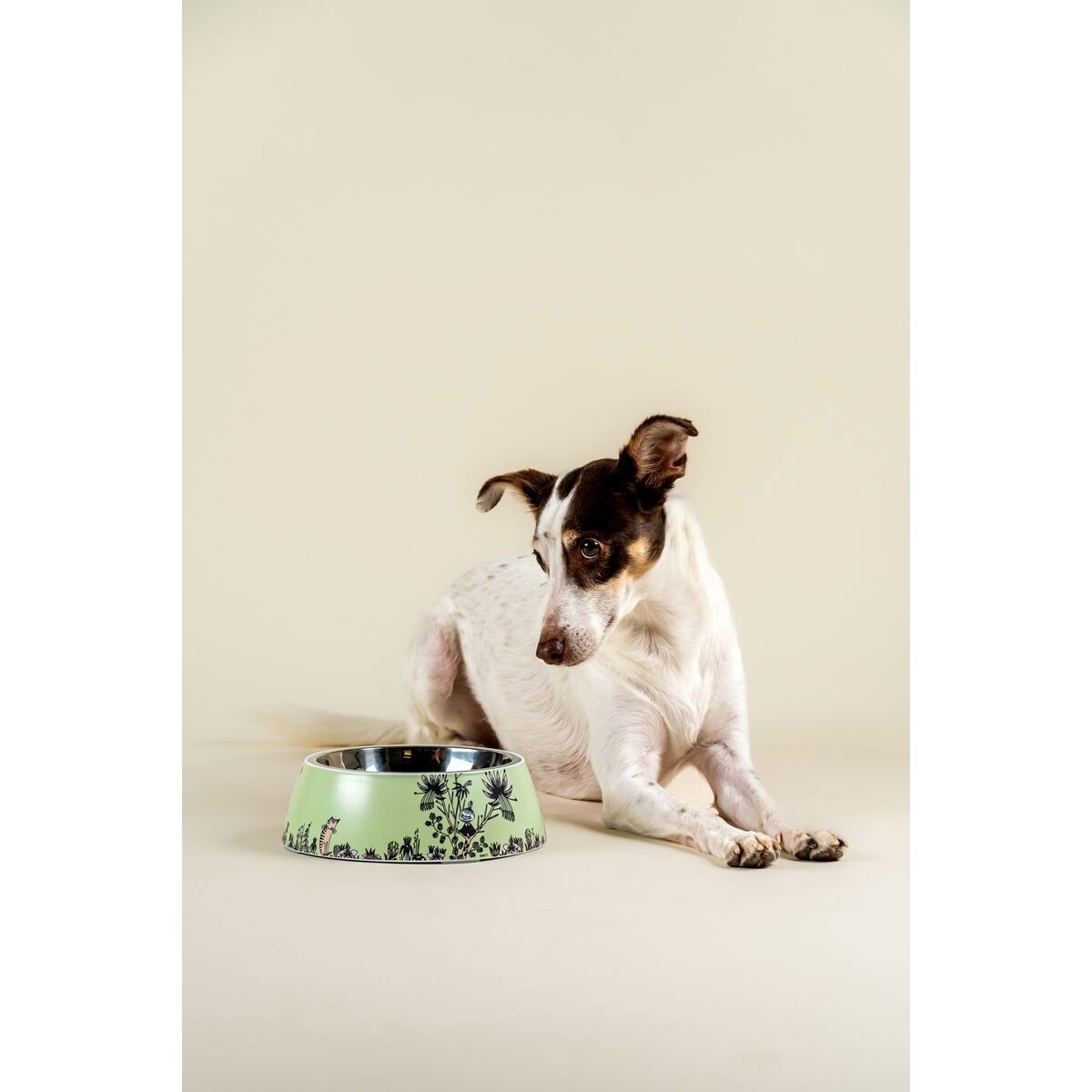 Moomin for Pets bowl 2024