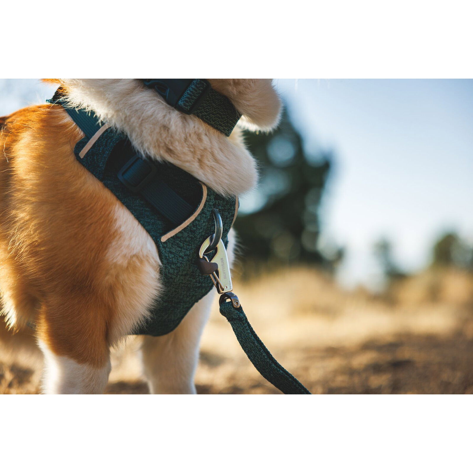 Ruffwear Front Range Flex Harness, Deep Teal