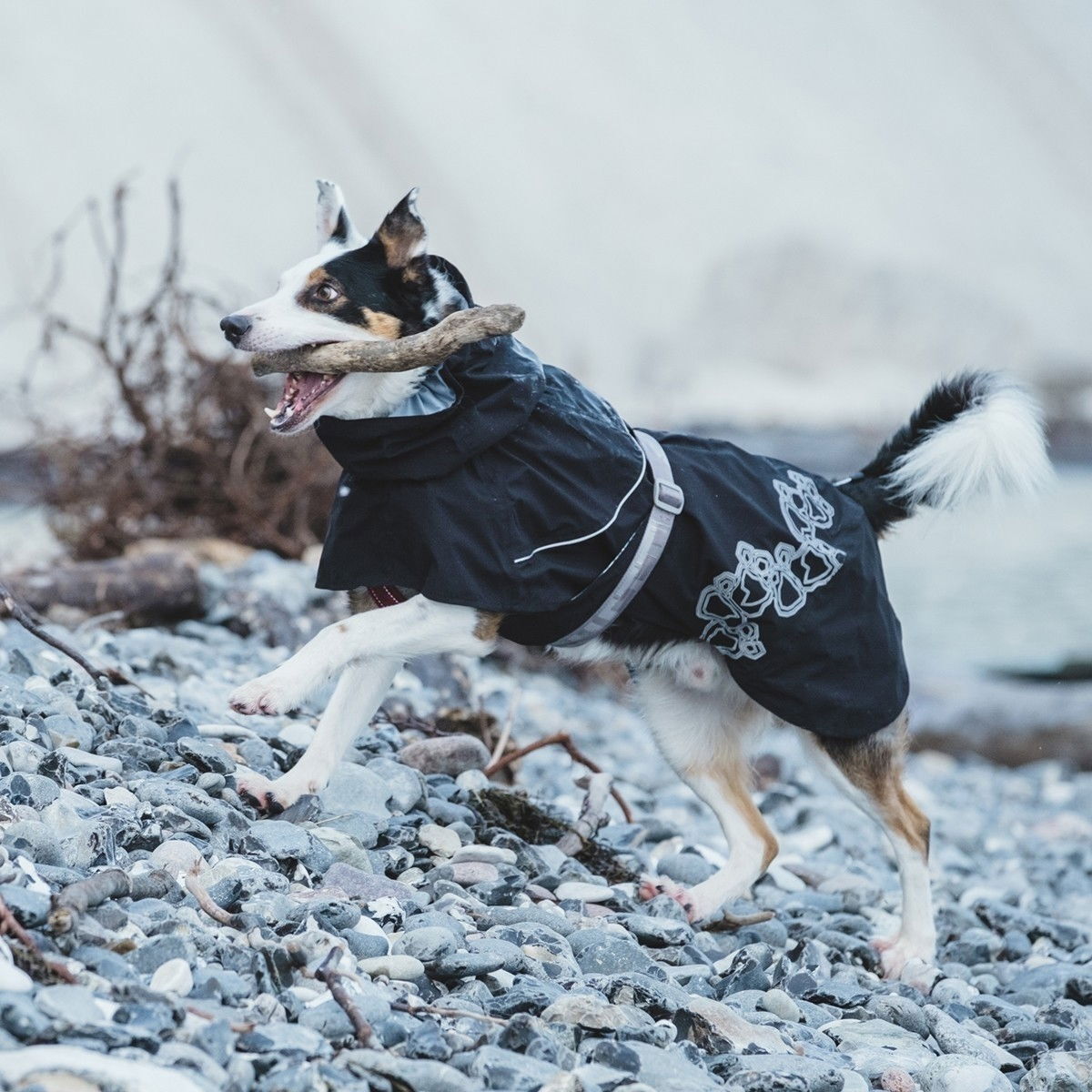 Hurtta Drizzle Regndekken Ravn