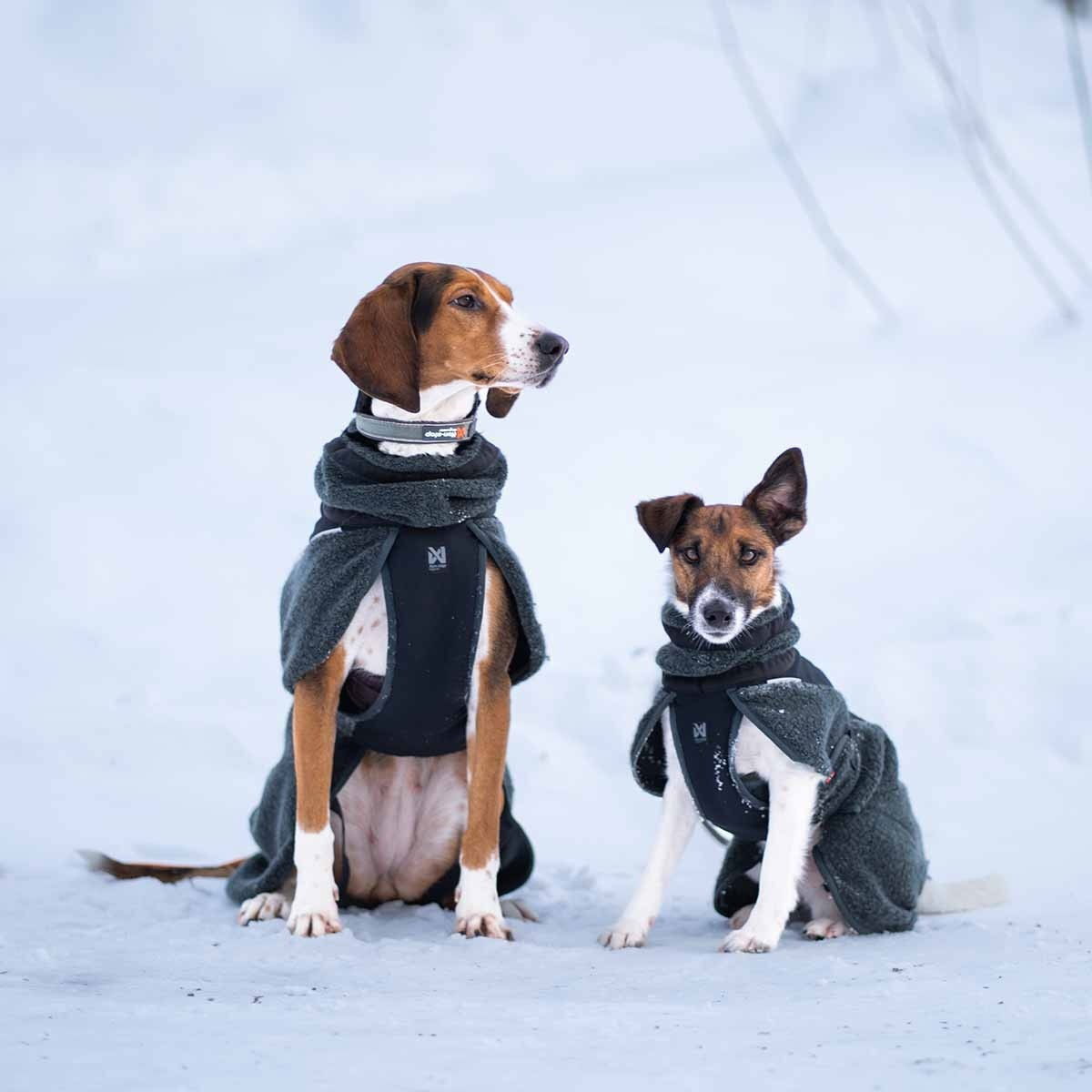Non-Stop Wool dog jacket, dark teal