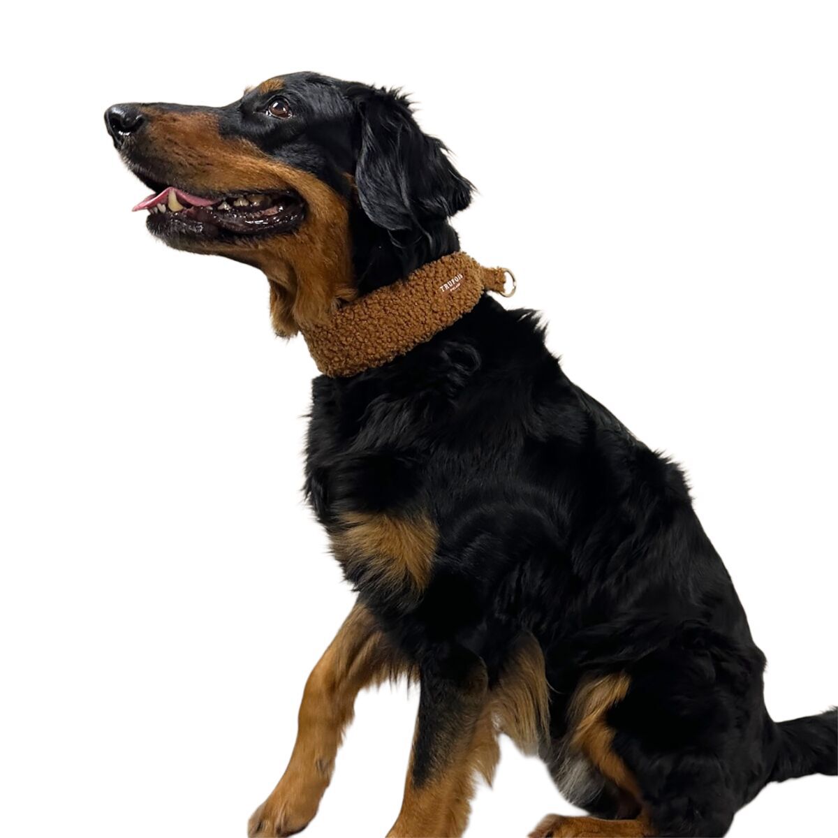 Trufois Wide Collar Chocolate Brown