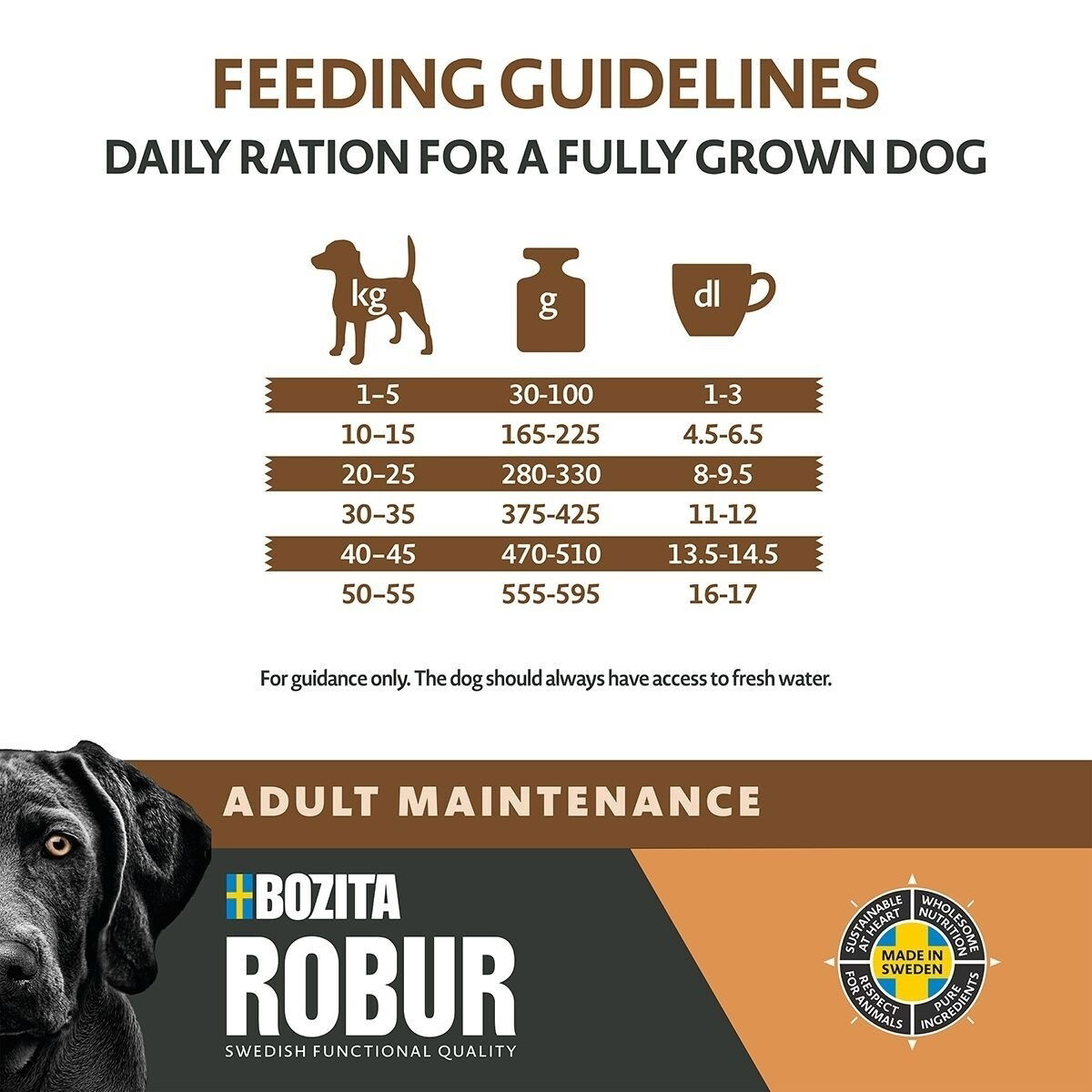 Robur Adult Maintenance