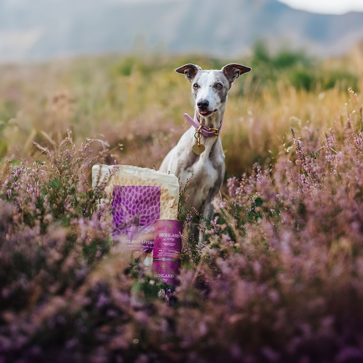 ESSENTIAL HIGHLAND LIVING SMALL BREED 2,5kg