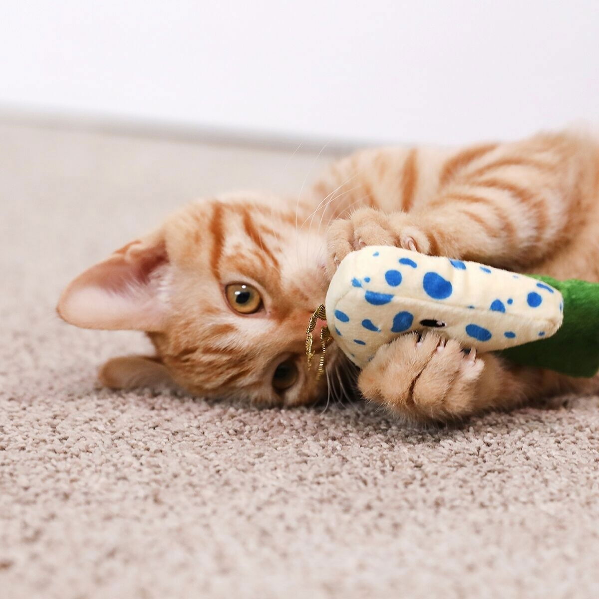 Quirky Kitty WINE AND CHEESE CATNIP PLUSH 2PK