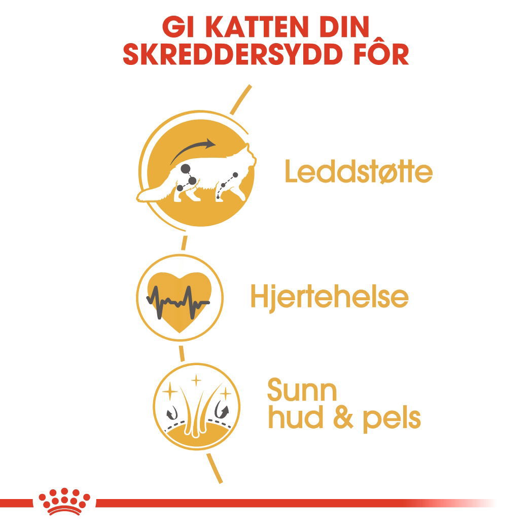 Royal Canin Maine Coon 400 g