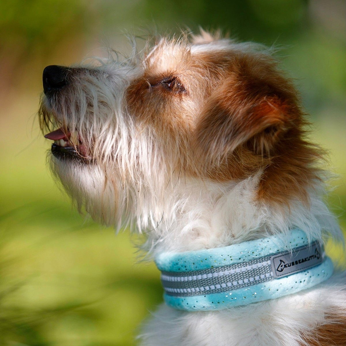 Kusse & Kutta extrawide collar, sparkle sea water