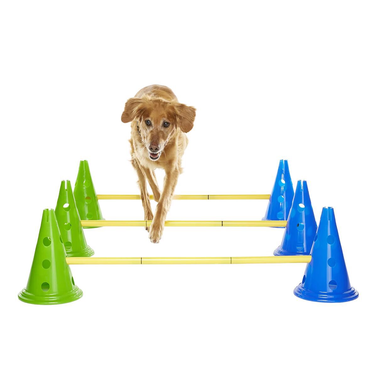 FitPaws K9 Cavaletti agility set