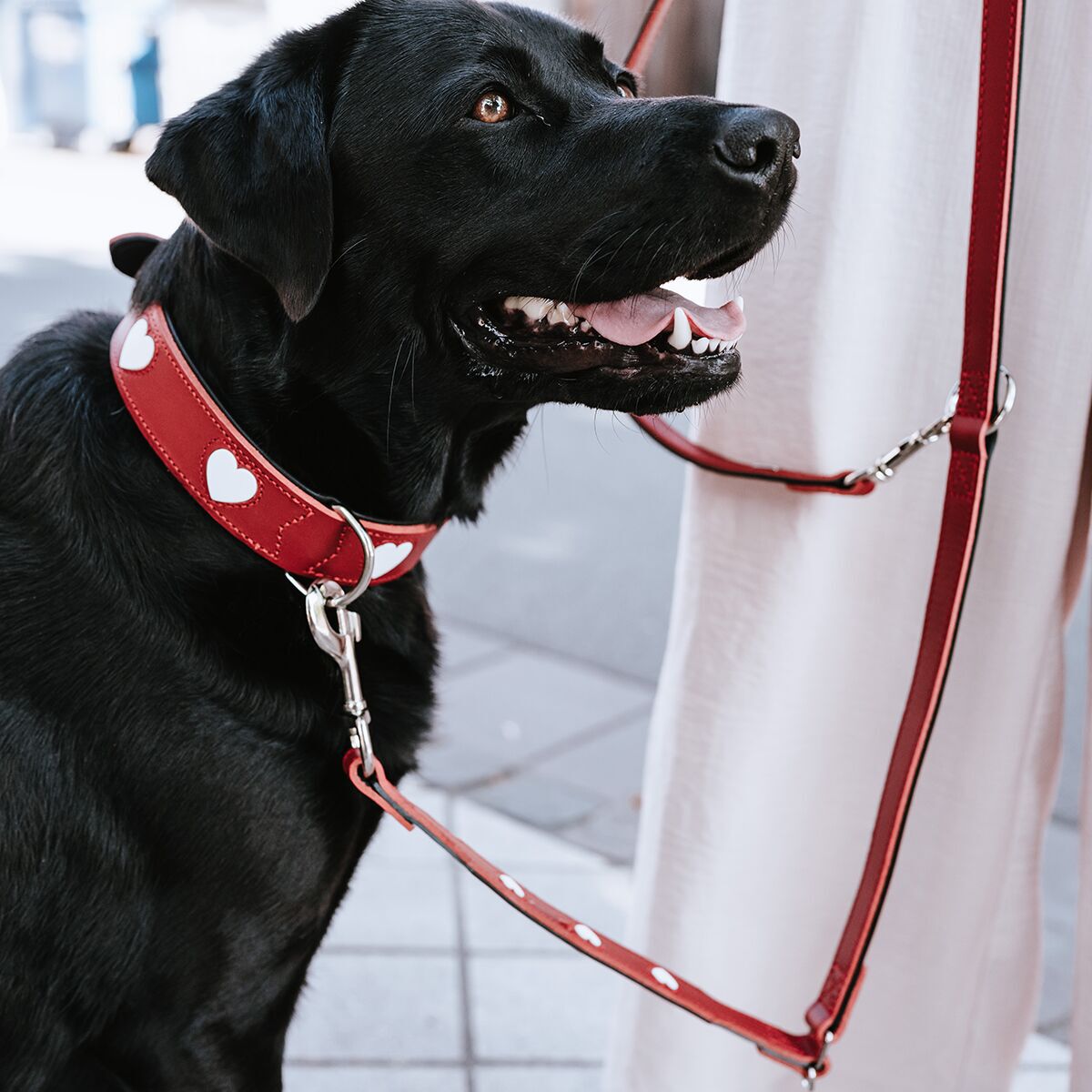 Hunter Collar Love Red