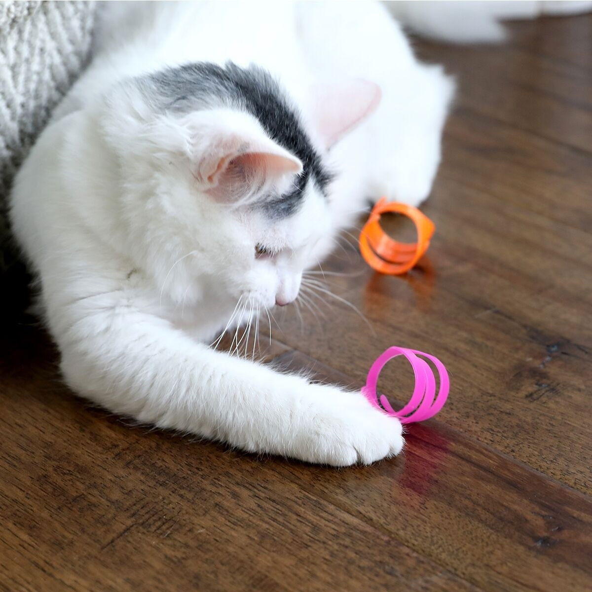 Fatcat Looney Loops
