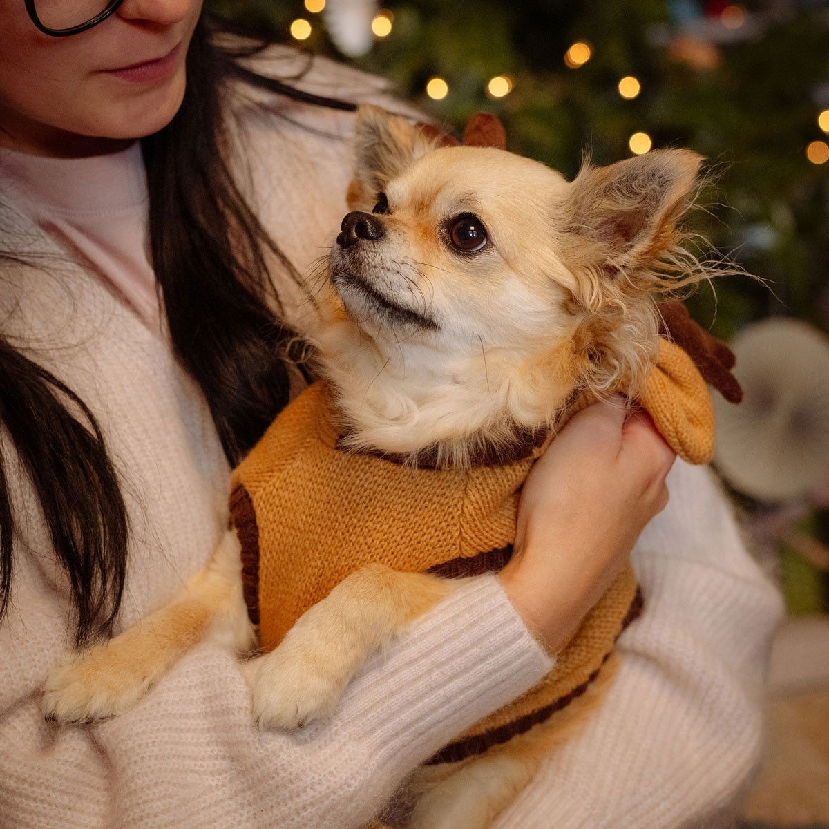 Little&Bigger Reindeer knit hoodie brown