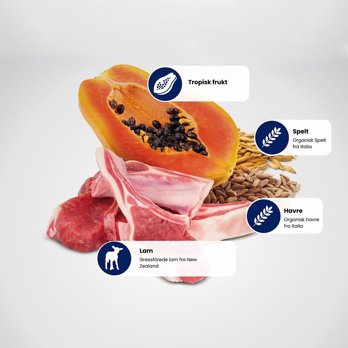N&D Dog Tropical Lamb Small 5kg