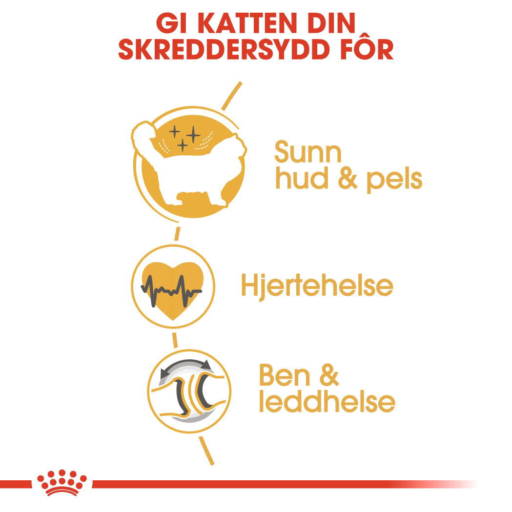 Royal Canin Ragdoll Adult tørrfôr til katt