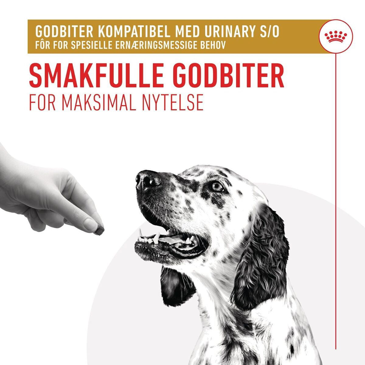 Royal Canin Veterinary Diets Dog Urinary Treats 230g