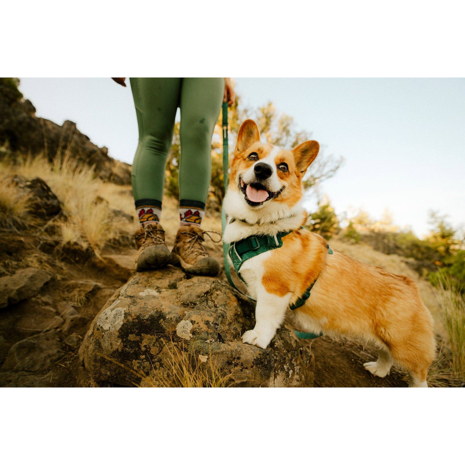 Ruffwear Front Range Flex Harness, Deep Teal