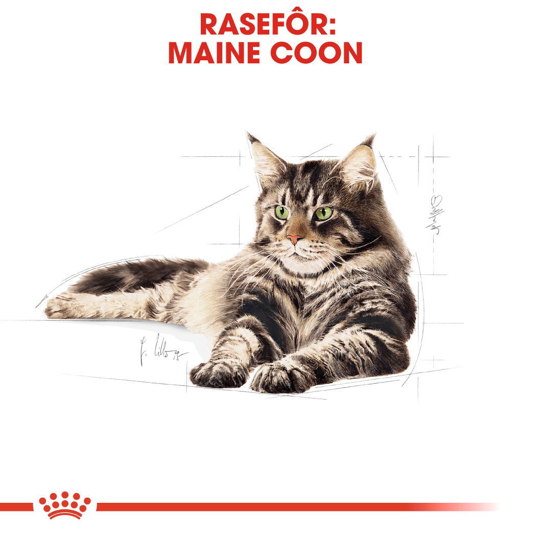 Royal Canin Maine Coon 400 g
