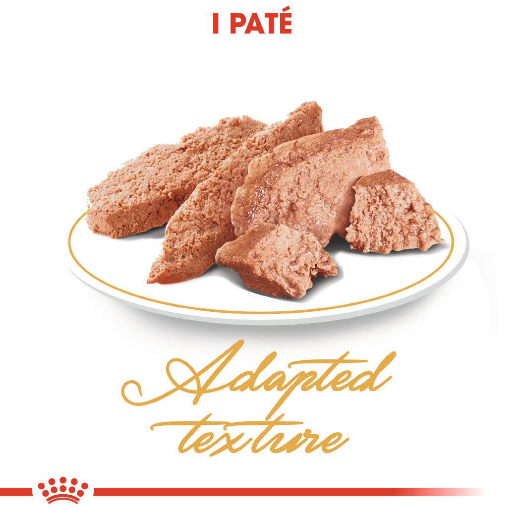 Royal Canin Persian Adult Loaf våtfôr til katt