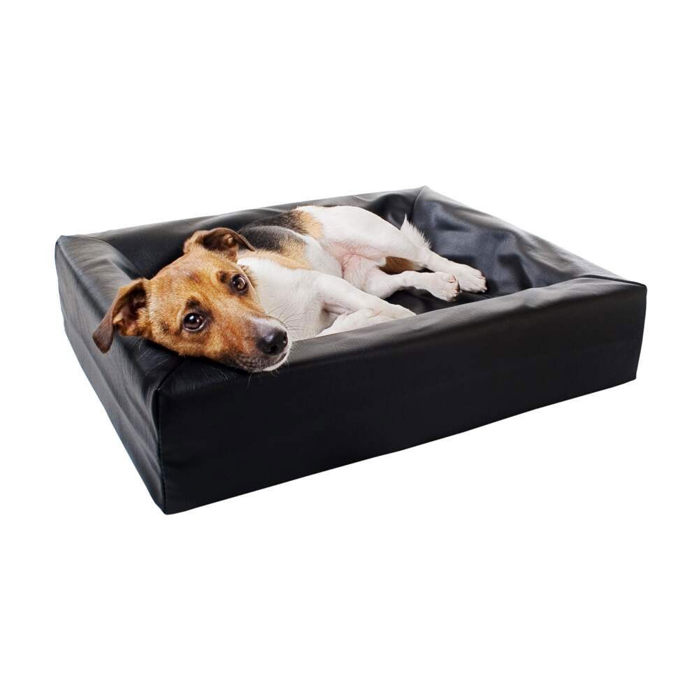 Bia Bädd Ortho Hundeseng Oval Svart - Hundesenger