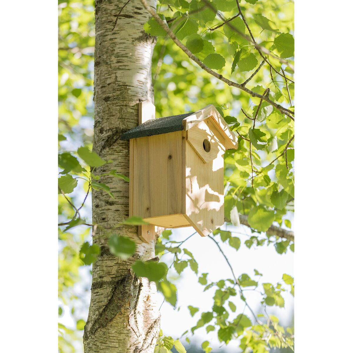 Trixie Nest box small cavity nesters pine wood