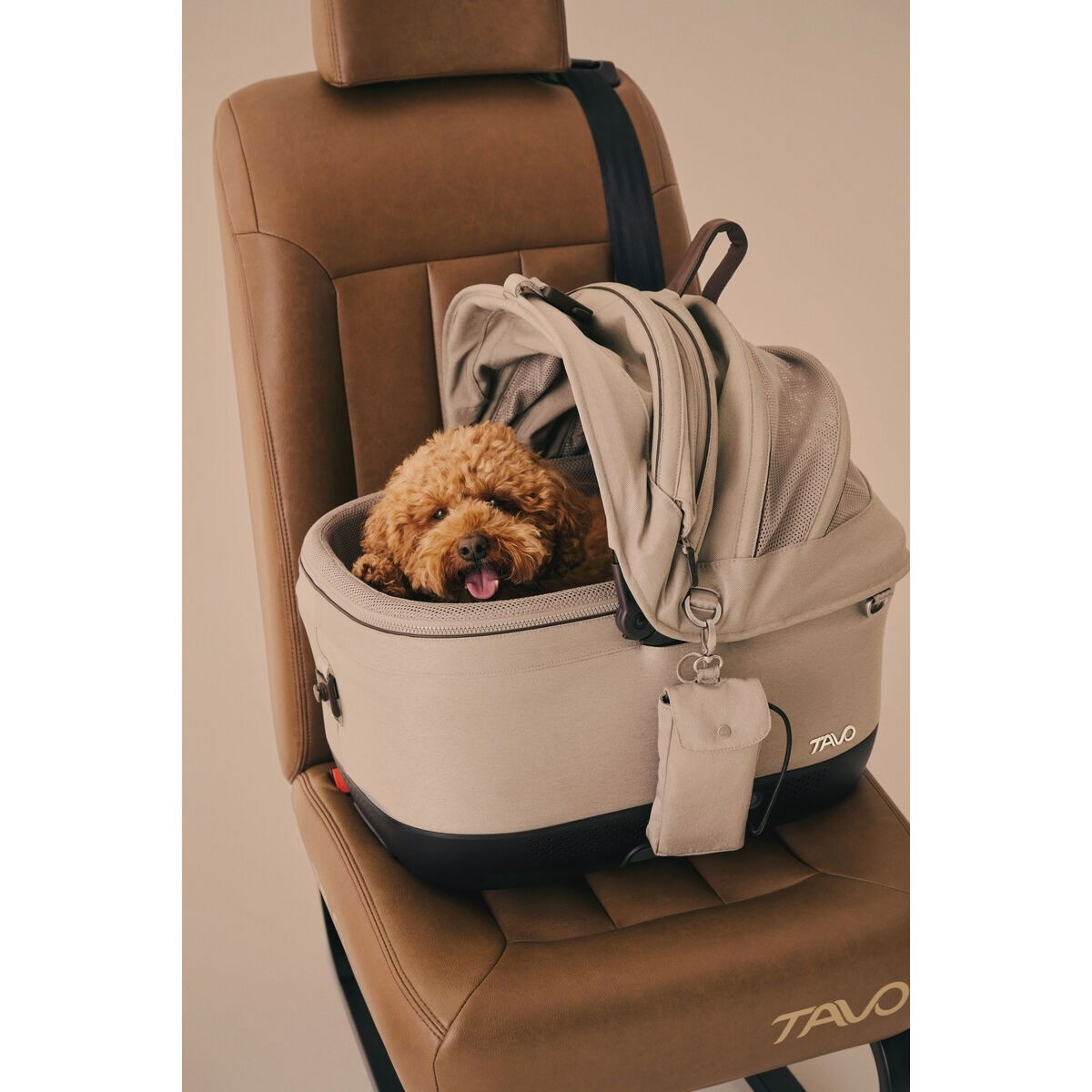 Tavo Maeve ISO6X Wind crash tested pet car seat with integrated ventilation system