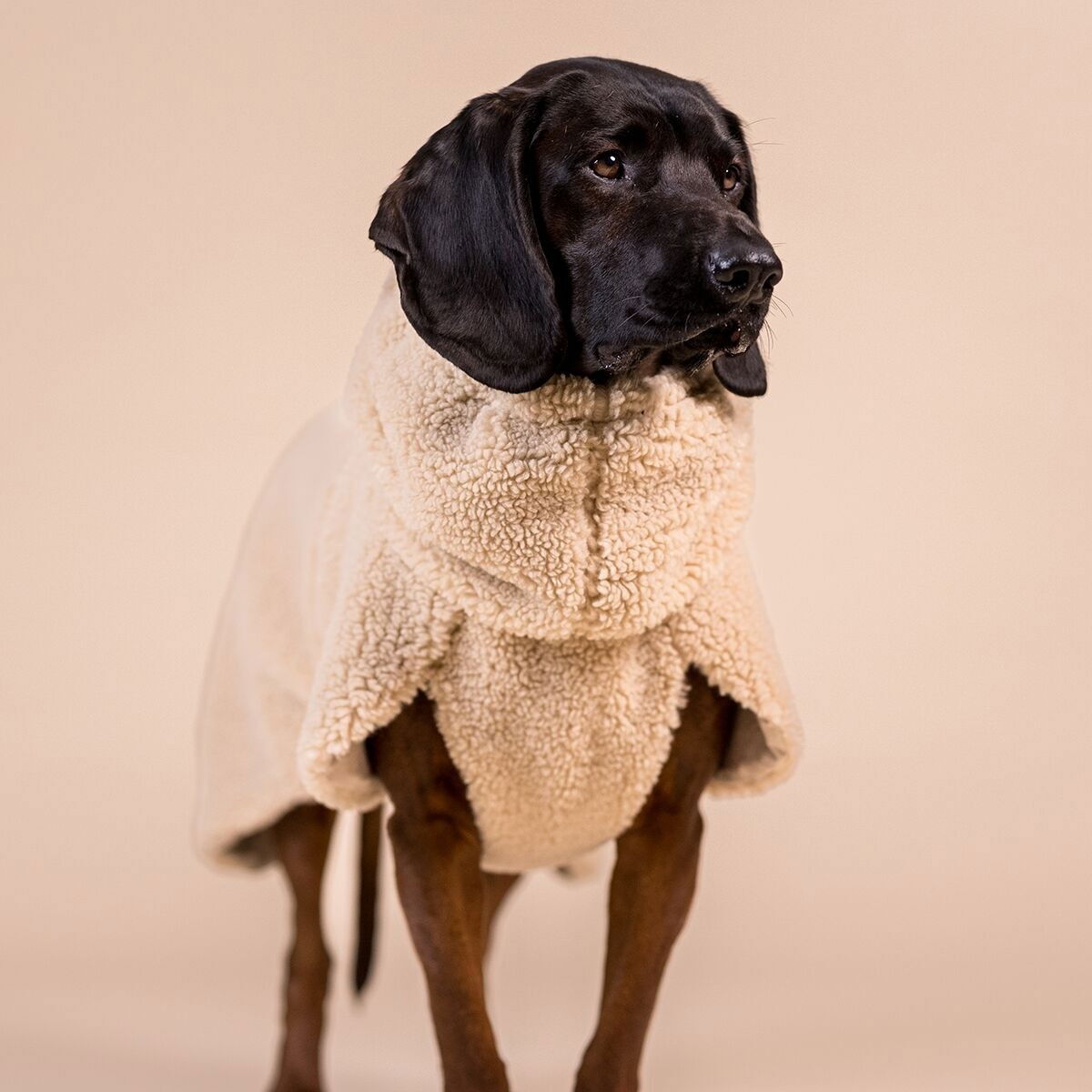 PAIKKA Sherpa shirt, Taupe