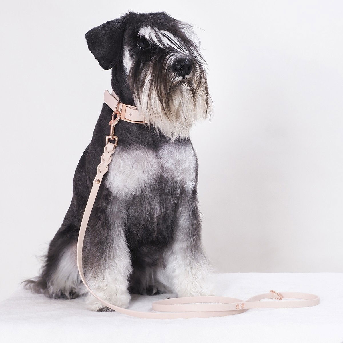 Tyylivoitto Classy narrow collar, nude
