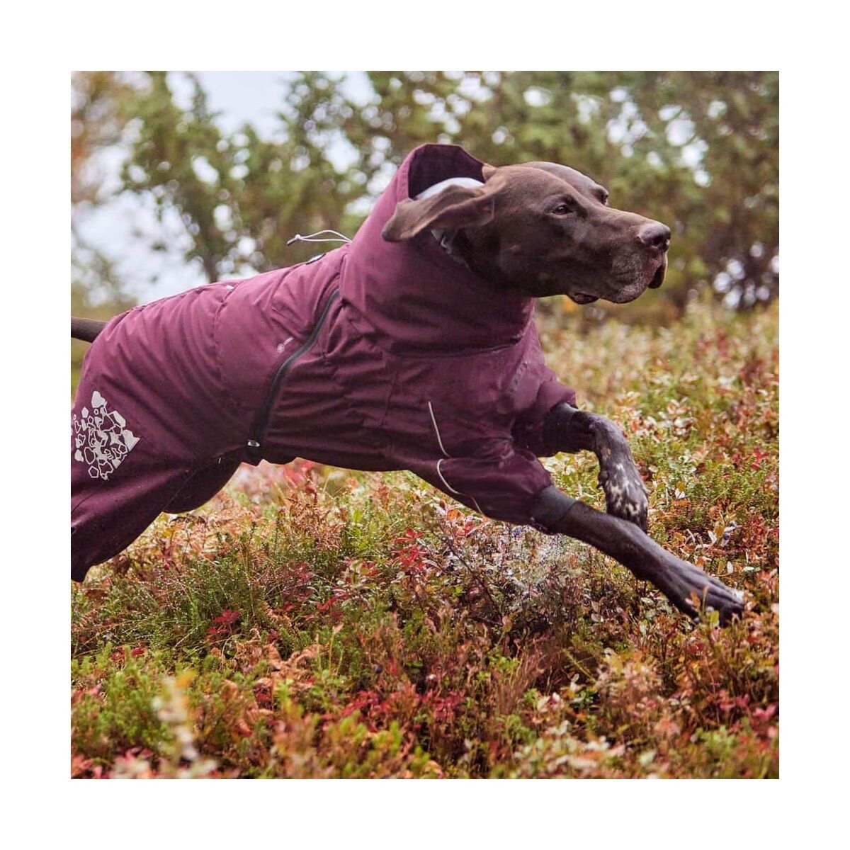 Hurtta Extreme Overall Eggplant