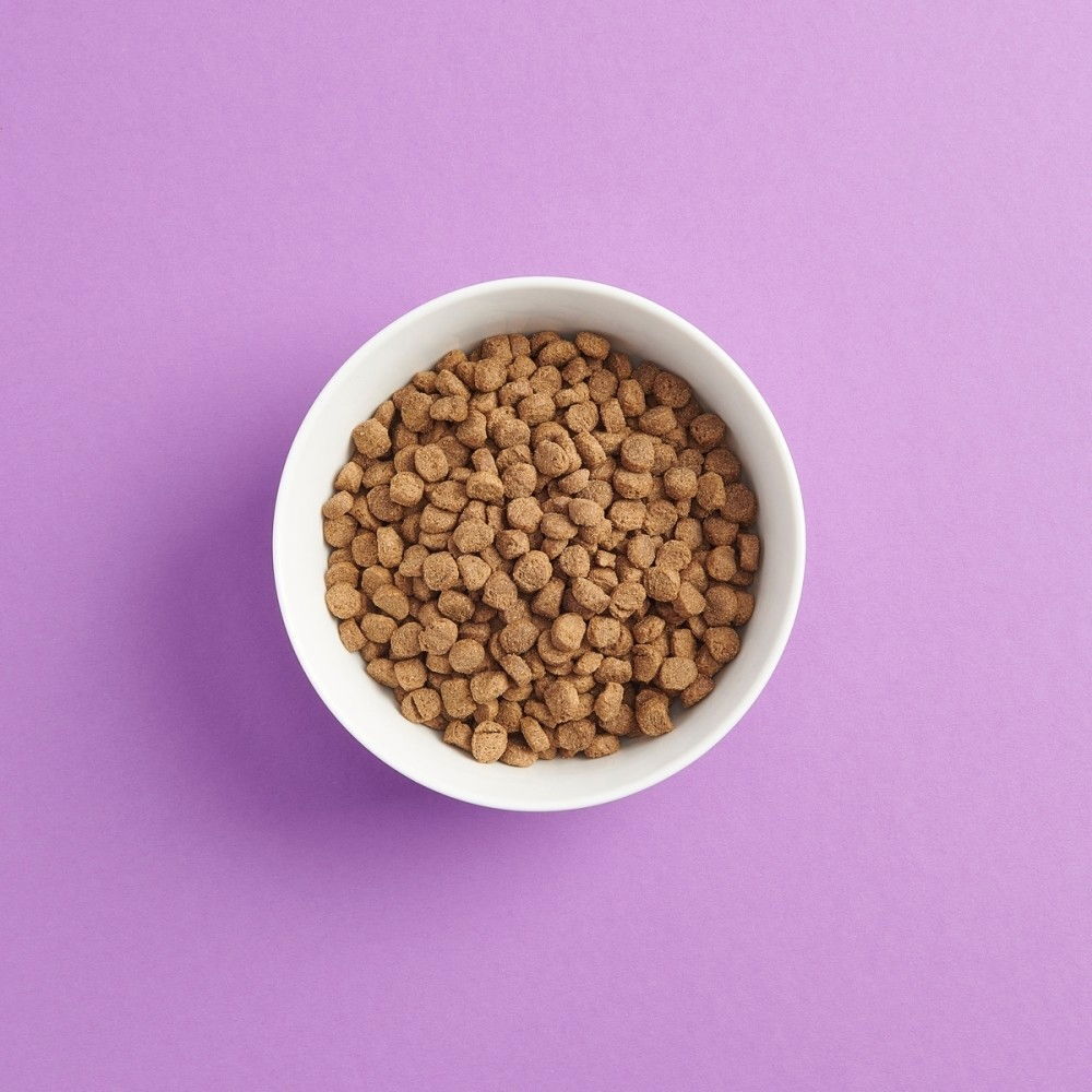 Smaak Dog Adult Small Breed Chicken