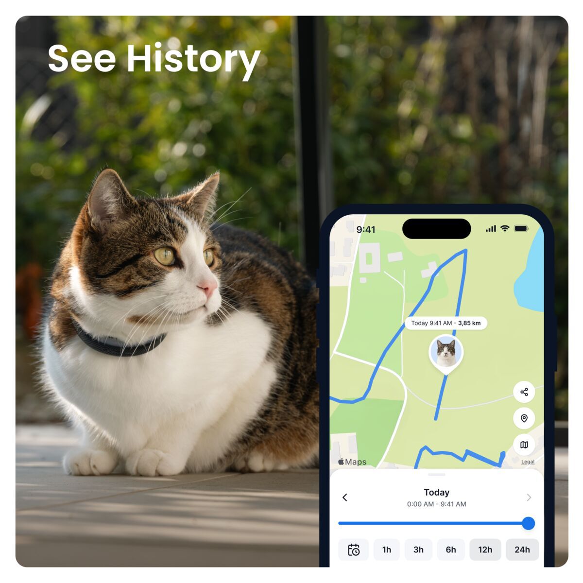 Tractive CAT 6 Mini – GPS Tracker & Health Monitor