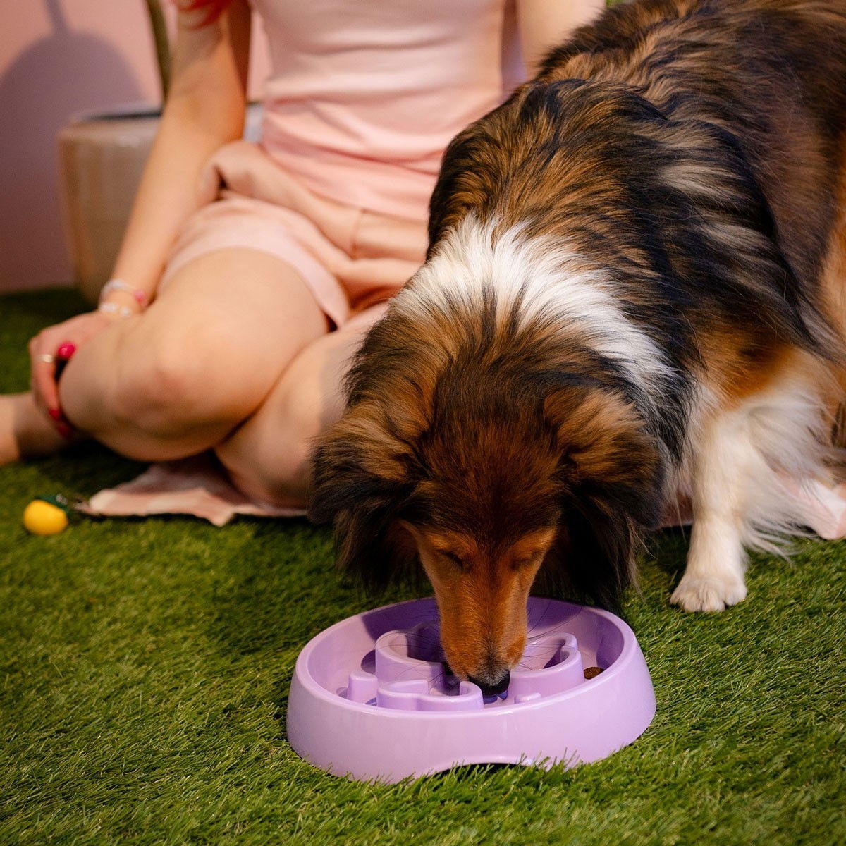 Little&Bigger Blossom slow feed bowl clover lilac