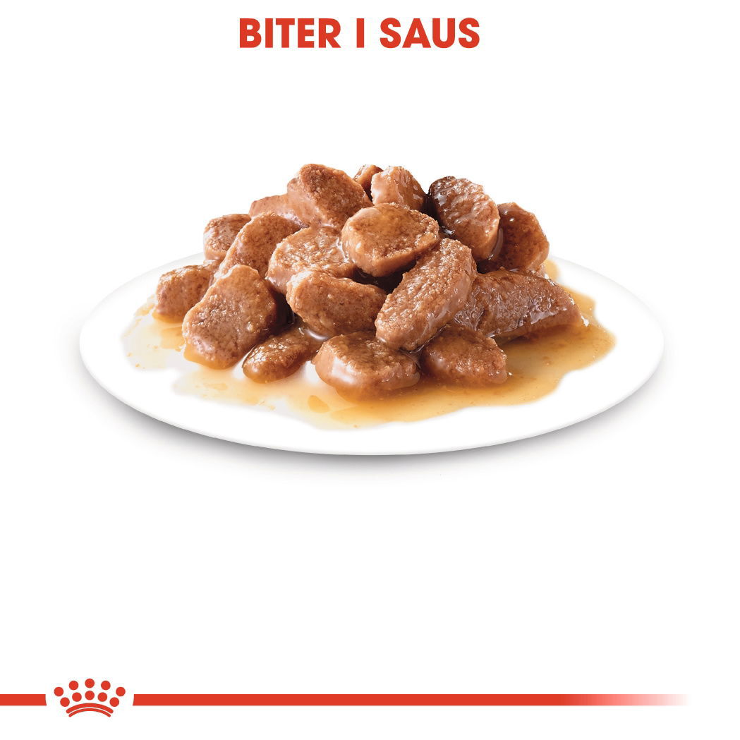 Royal Canin Instinctive 7+ Gravy Ageing våtfôr til katt