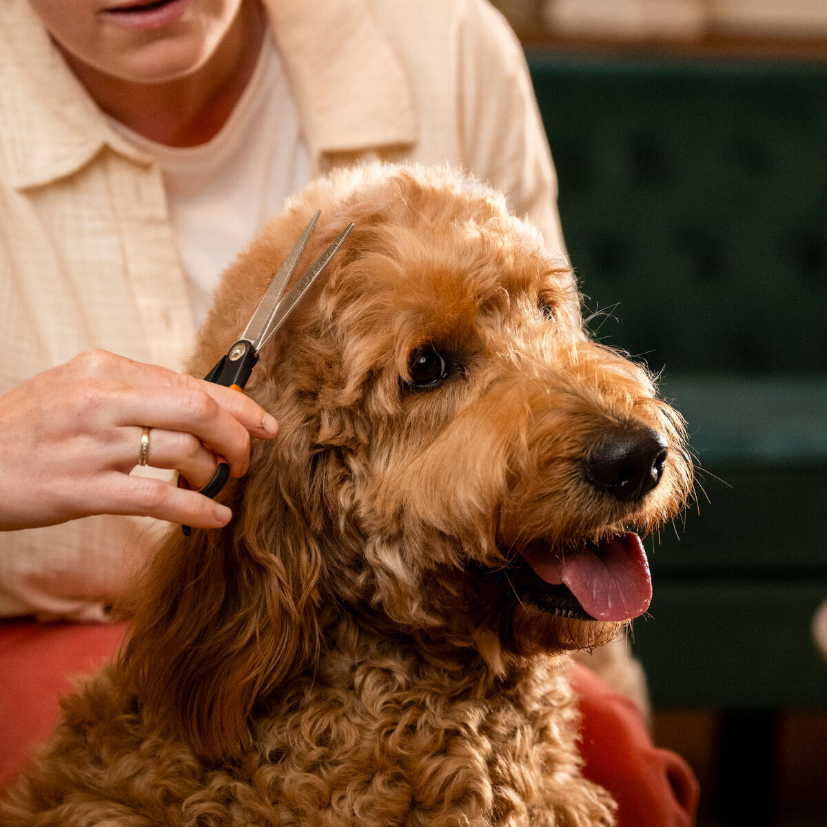 Fiskars trimming scissors​