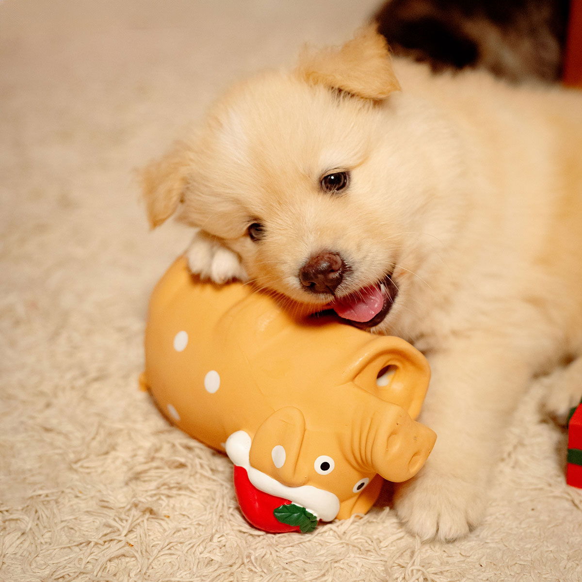 Little&Bigger SeasonsClassics latex Xmas pig