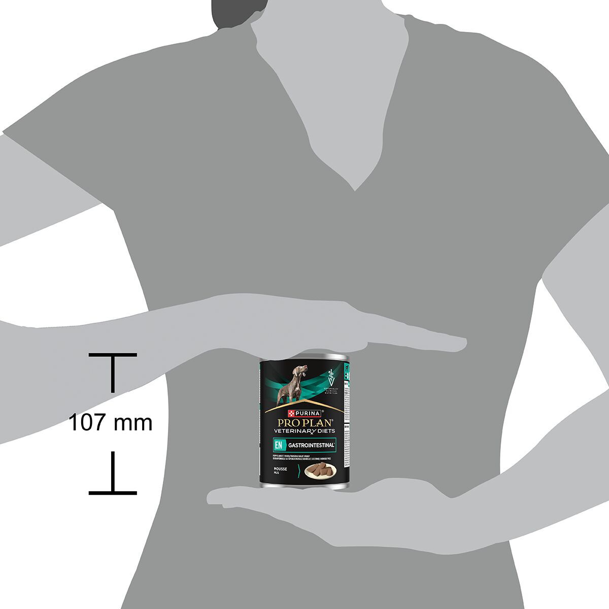 PP VD Dog EN Gastrointestinal mousse 400g