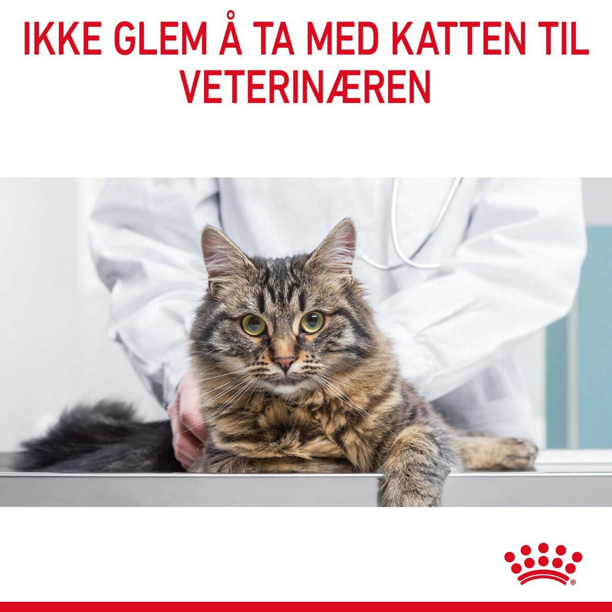 Royal Canin Hair & Skin Care Adult tørrfôr til katt