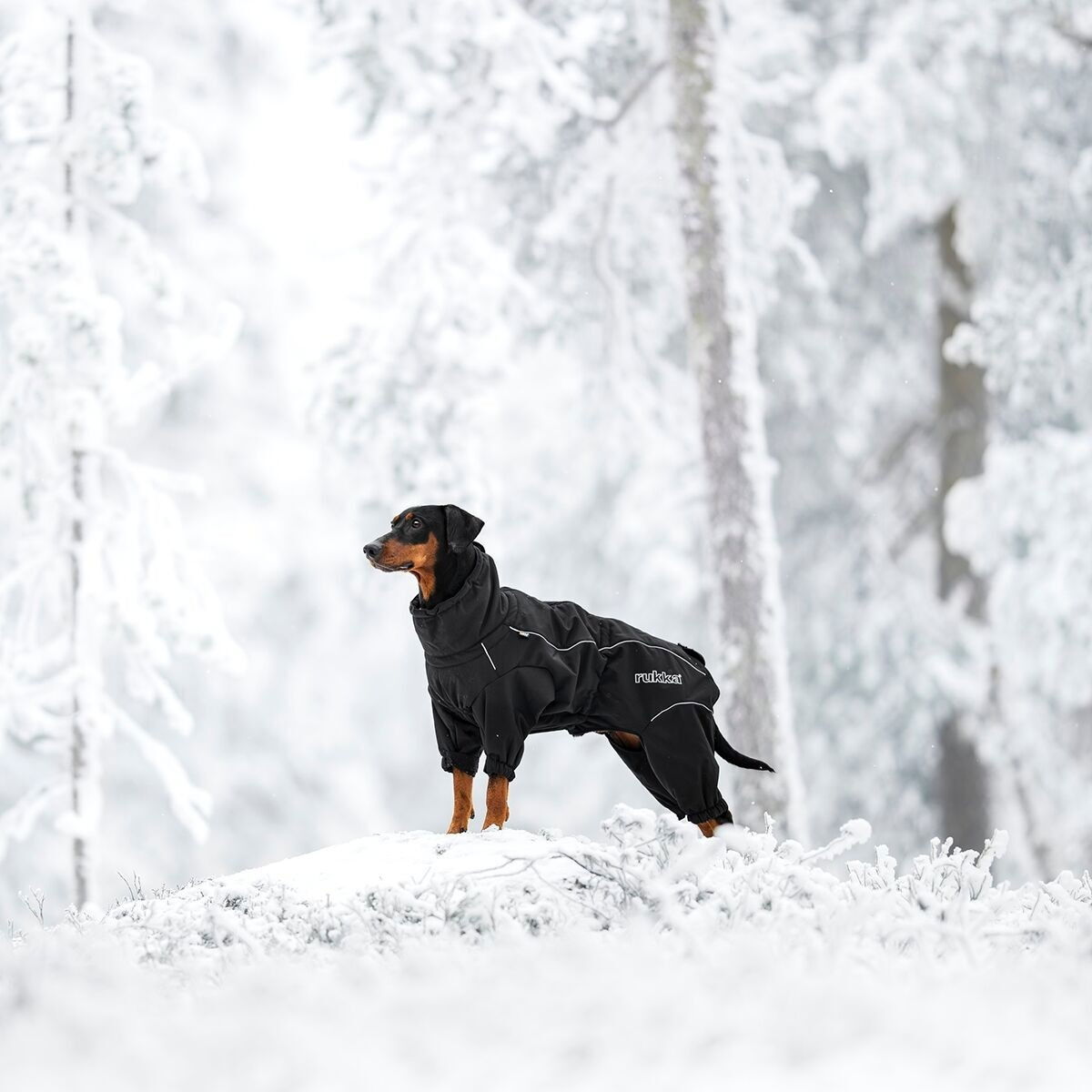 Rukka Thermal Overall 2.0 Black