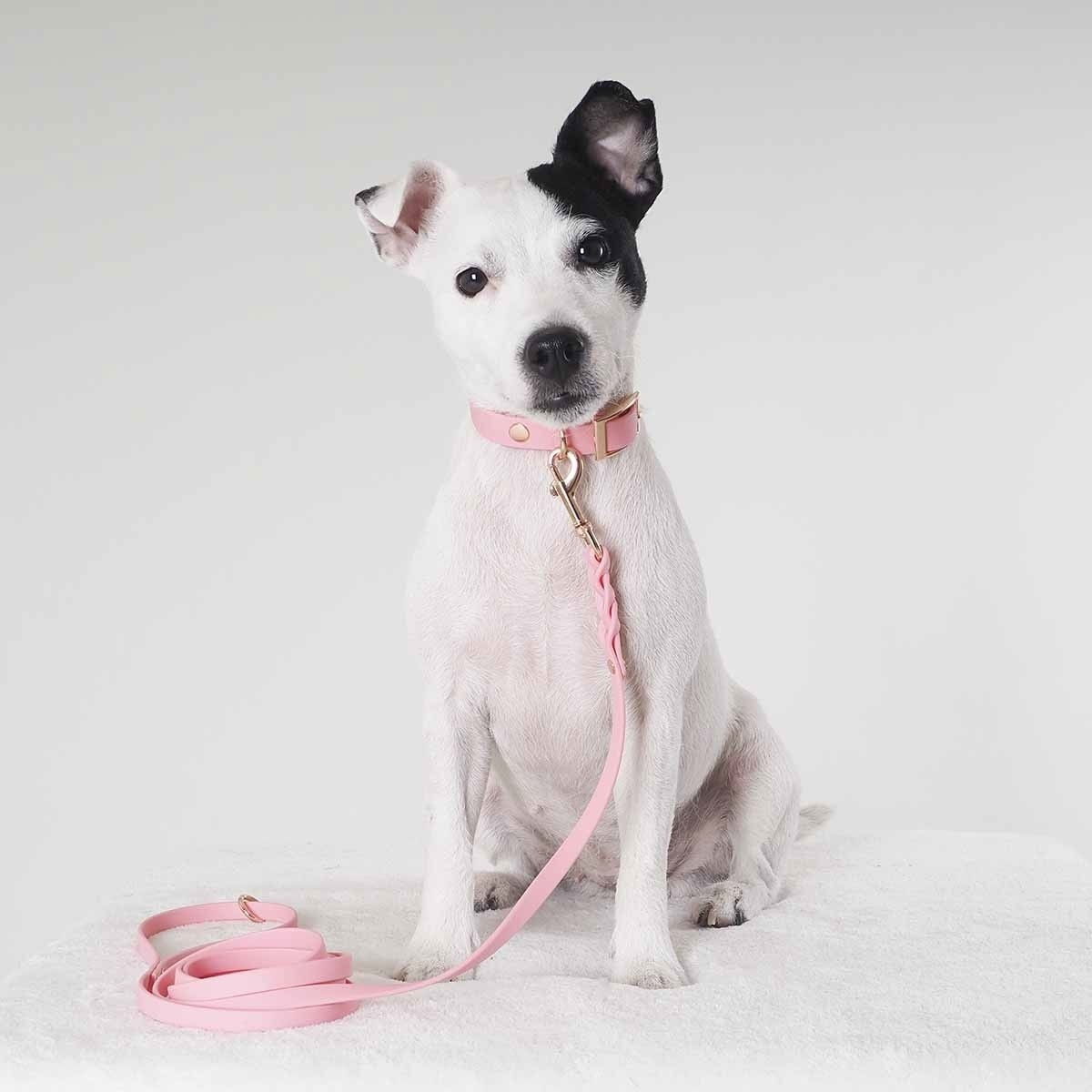 Tyylivoitto Classy narrow collar, light pink