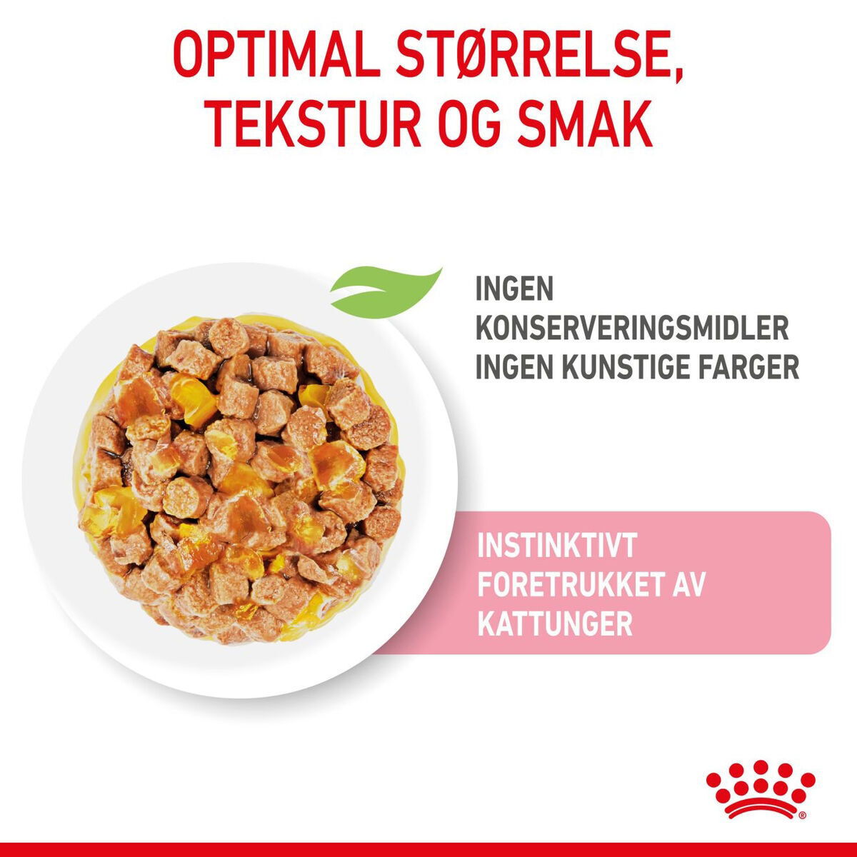 Royal Canin Kitten Jelly våtfôr til kattunge