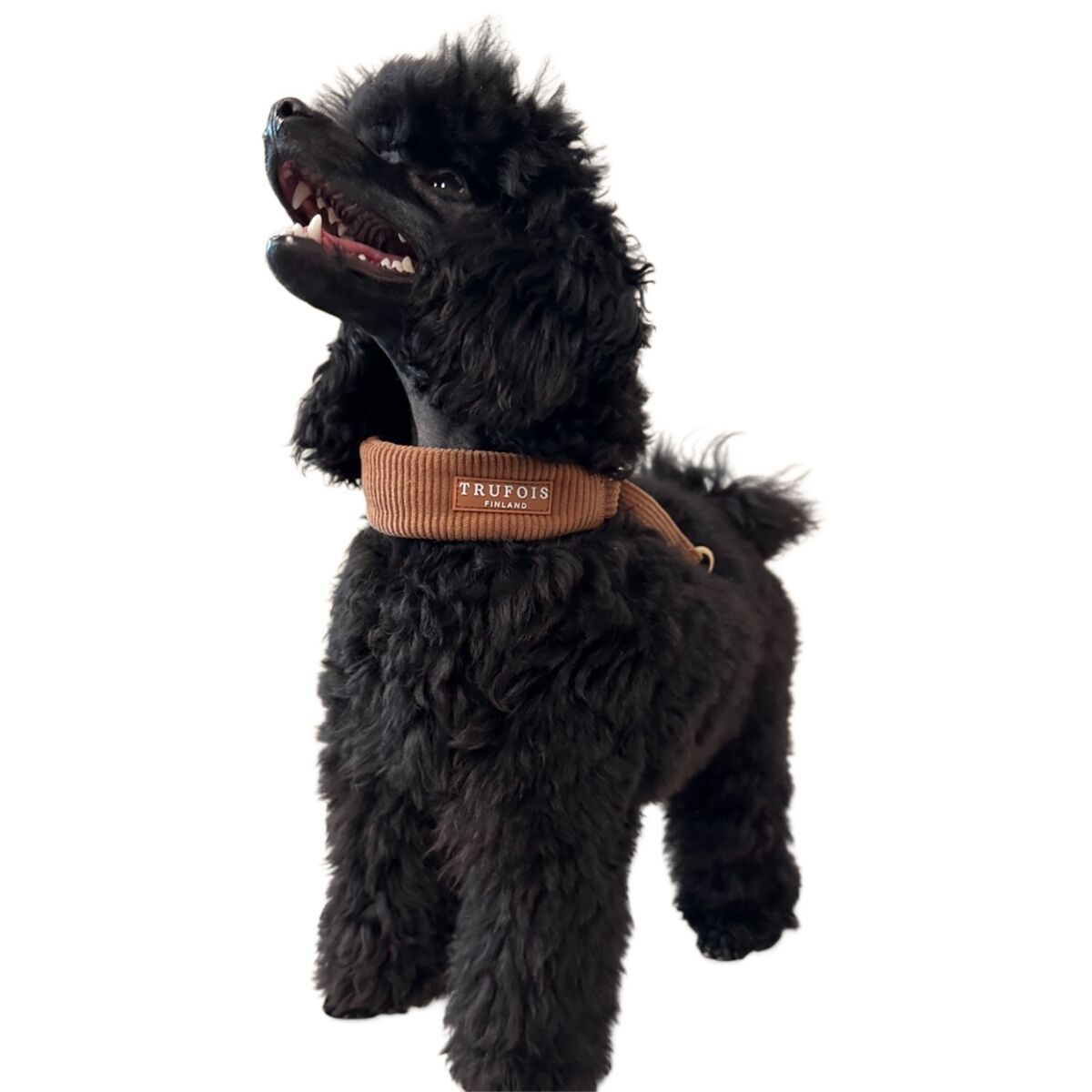 Trufois Wide Collar Macchiato Brown