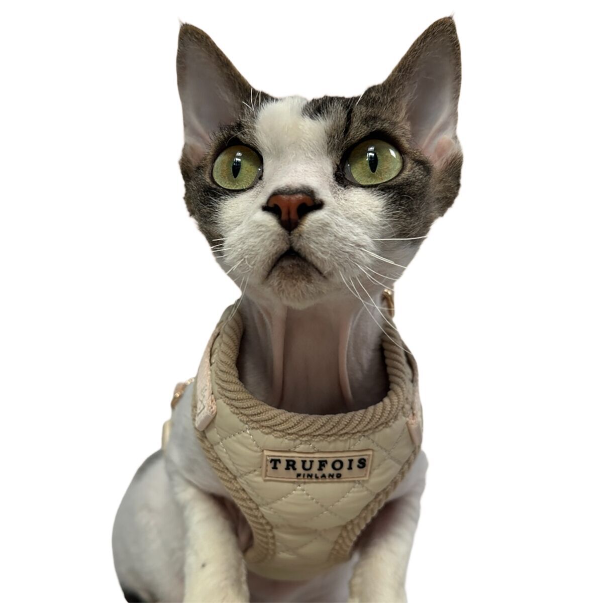 Trufois Lite Harness Latte Beige