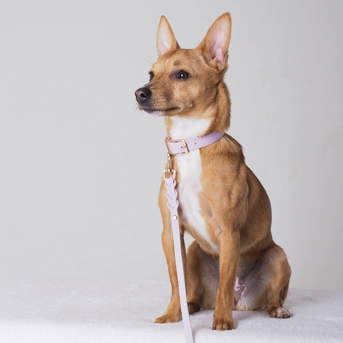 Tyylivoitto Classy narrow collar, lavender