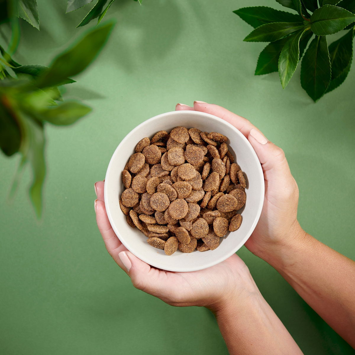 Purenatural Dog Adult Grain Free Duck