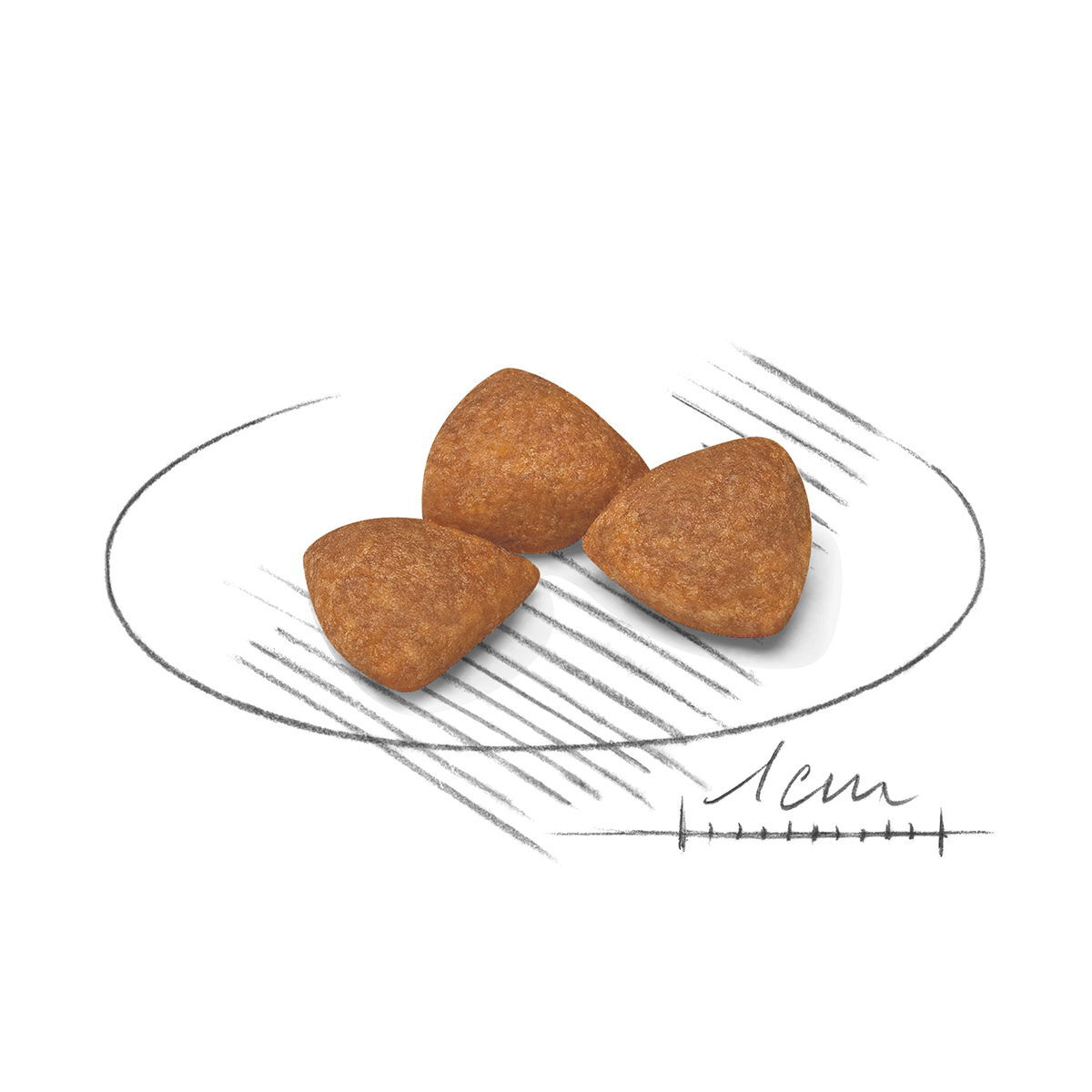Royal Canin X-small Ageing 12+ tørrfôr til hund