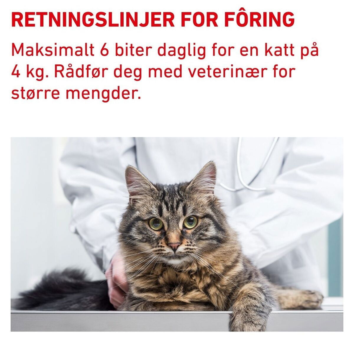 Royal Canin Veterinary Diets Cat Pill Assist 45g