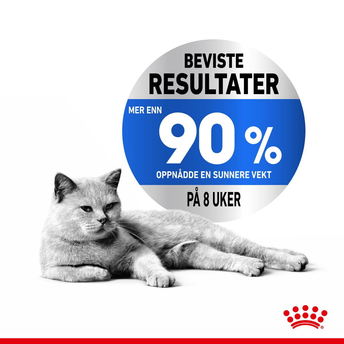 Royal Canin Light Weight Care Jelly Adult våtfôr til katt